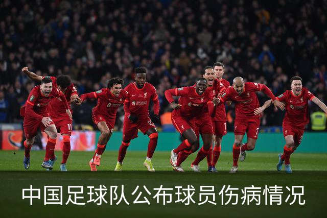 中国足球队公布球员伤病情况